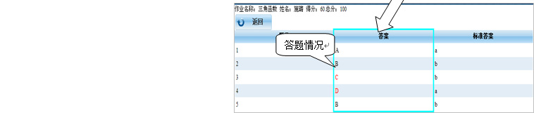 查看报表页面